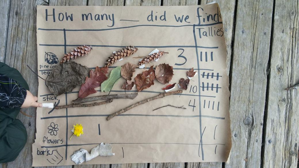 deannab23's tweet photo. Fun math today @GreatMooseAdv #naturepreschool #ey https://t.co/hLcbsPFGdg