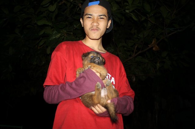 AdiGuna51's tweet photo. #anjing tidak Ganas #tapi wanita yang Ganas mempermain kan Hati Pria wkwkwk https://t.co/btWXYsaV9O