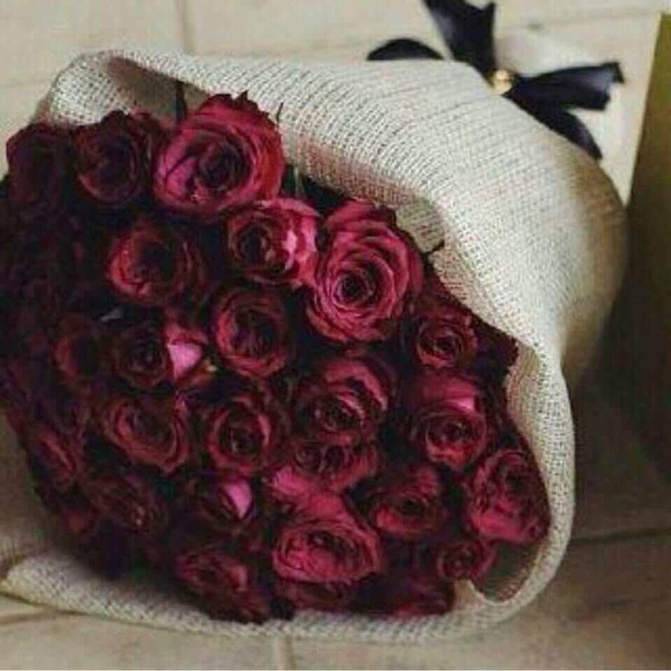 la_ma_lm's tweet photo. #بنت_وايل_نصف_مليون_متابع  

تستاهل الاميره https://t.co/P8icCzOzv2
