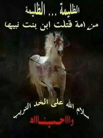 aliss9052's tweet photo. @alaraki1234naae @abohussain758 @aya234aa8 @lnoلبيك ياحسينsh994 @azwtz @ComeHoda https://t.co/bVokfhyLYV