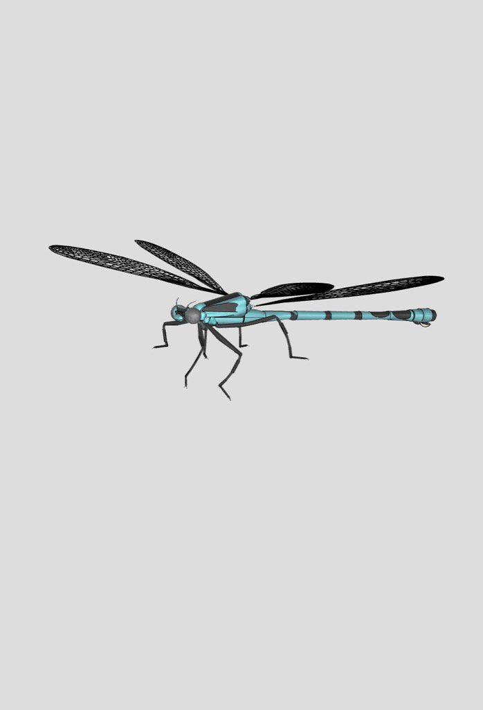 PARTcloud_net's tweet image. Interesting #3DPrinting component: #Damseifly #partcloud #3dmodel b2b.partcommunity.com/community/pin/…