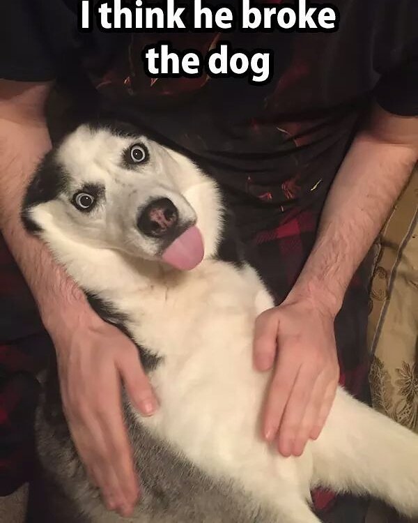 corrivalcloud_5's tweet image. 