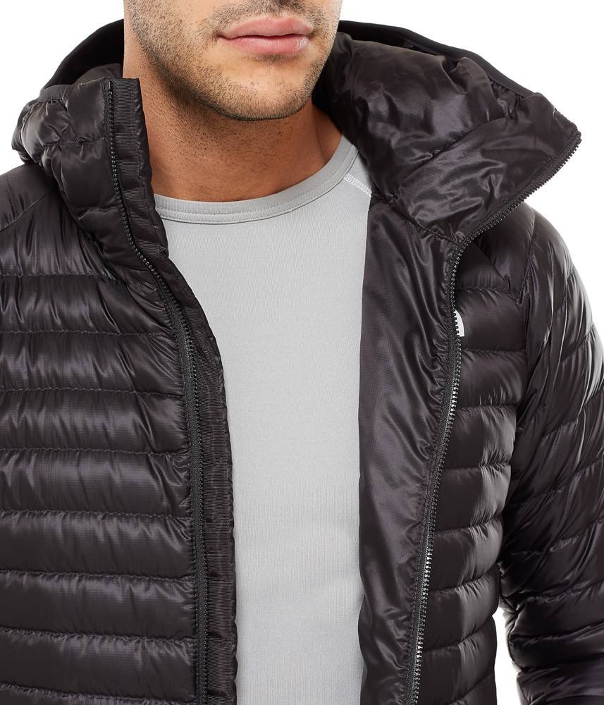 the north face quince hooded jacket