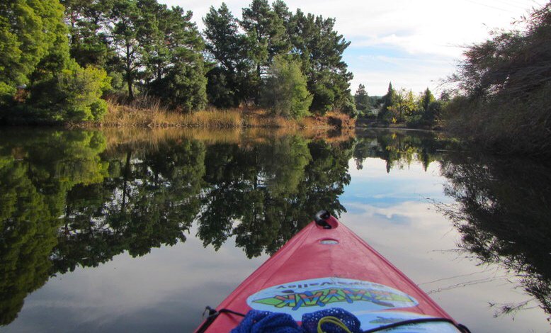 drebmann's tweet photo. Side of #Napa more folks should see. Not just #wine. #NapaRiver #DowntownNapa #donapa @Napadowntown #kayaknapavalley https://t.co/OSKRfer25G