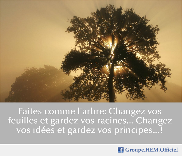 HEMofficiel's tweet photo. Pour une vie sereine ... ;)
#HEMFun https://t.co/YdDQmSY79x