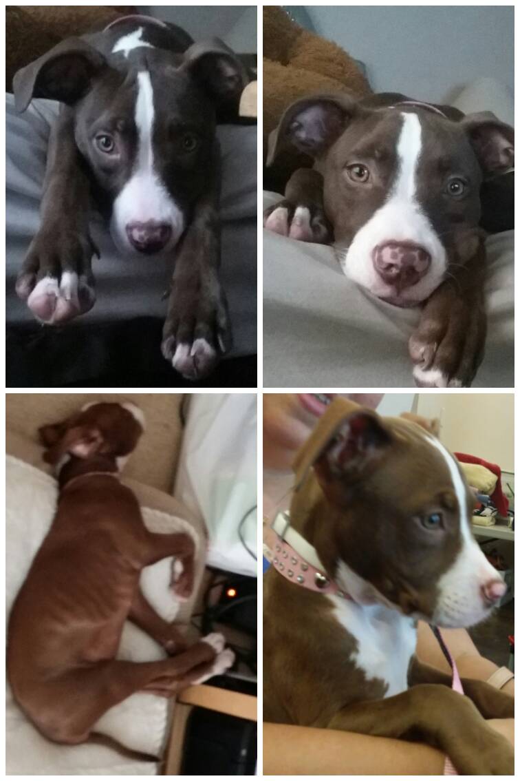 ladylogic39's tweet image. she likes pics  bit.ly/Tv8V5r