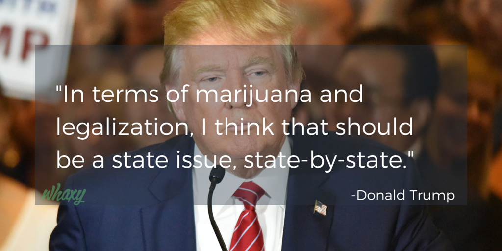 ThinkTankExile's tweet photo. #DonaldTrump Announces New Opinion on Legal #Cannabis - https://t.co/mcNHuA1qyx https://t.co/j3Hz9j9vbr
