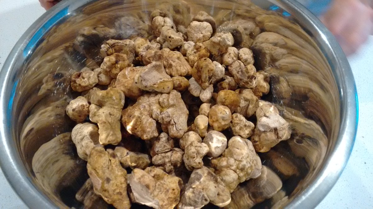 truffletraders's tweet photo. White Truffle, the best truffle! https://t.co/NYnLPlD24f