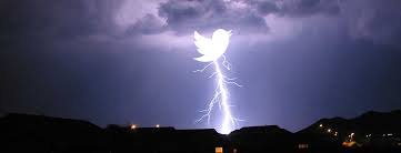 Actions4Animal's tweet photo. ACTION ALERT TWEETSTORM NOV 13th #SaveAfricanAnimals https://t.co/BzkzpJAVn9 Join the Campaign #ZimbabweElephants https://t.co/vGbyaob882