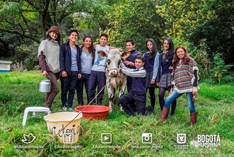 Educacionbogota's tweet photo. Vicky es la vaca que cambio la vida de 600 estudiantes de un colegio rural de Usaquén. https://t.co/Nr9y4zz8zE https://t.co/br3ZtZH1vR