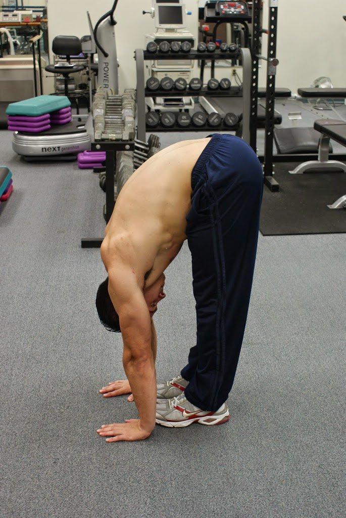 Swimming Science tweet media