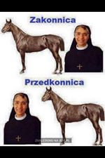Psychodeliczne's tweet photo. Bo są dwa typy konnic. Zakonnica i przedkonnica. #psychogenic #zabuszenia #Koń https://t.co/1Bt6LQtdU0