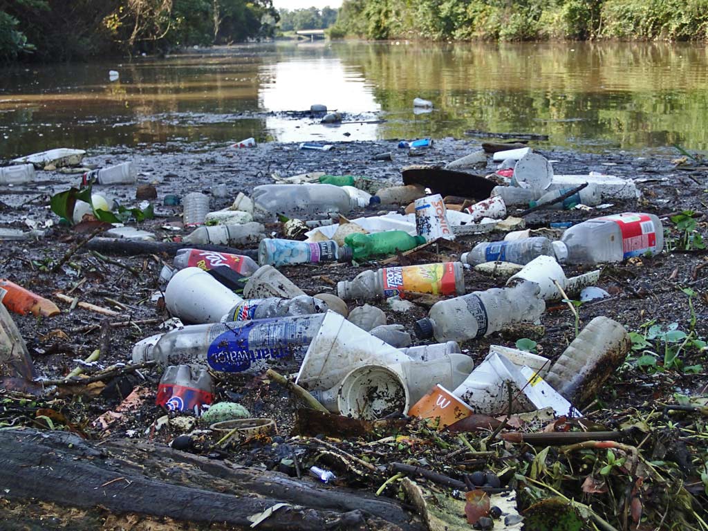 LC Dan River Basin tweet media
