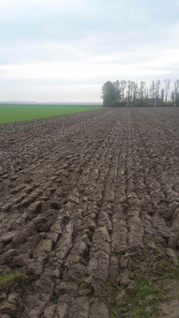 MaermanSm's tweet photo. Vandaag begin gemaakt met ploegen van gras klaver ging mooi met ecoploeg tot het ging regenen https://t.co/XGDW6fB915