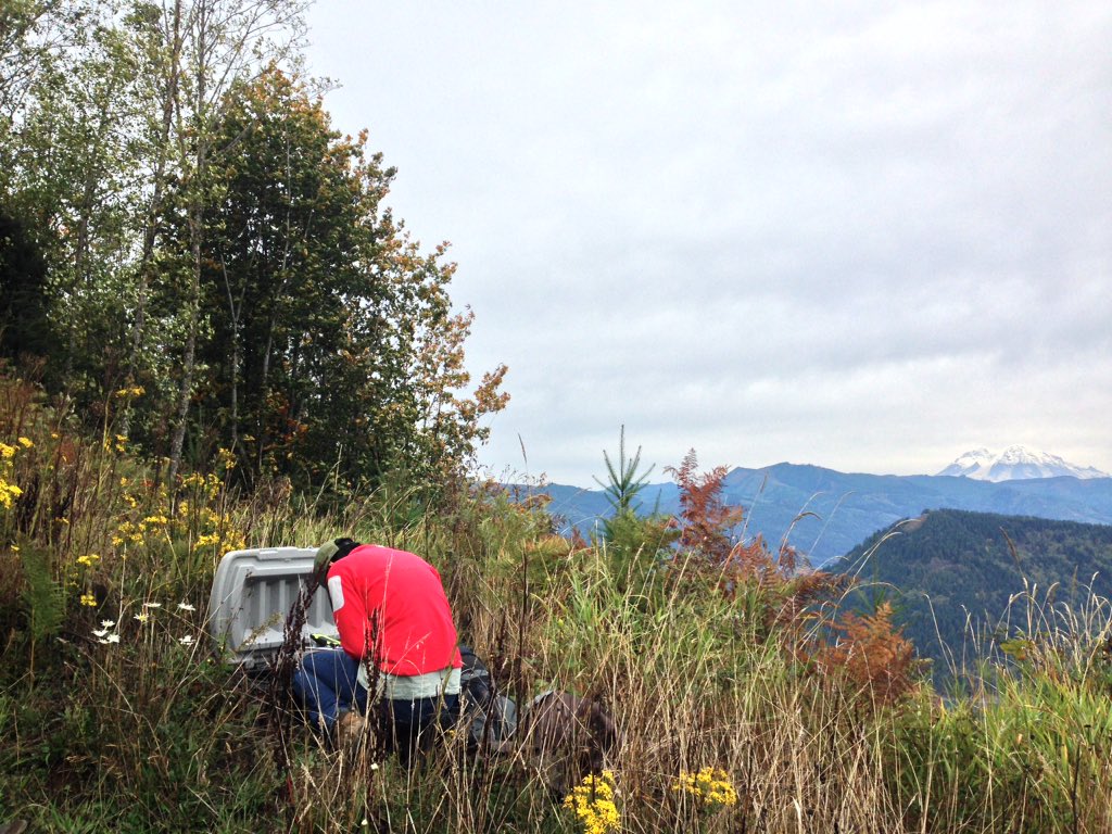 PNSN1's tweet photo. #TBT: Servicing #iMUSH stations near #MtStHelens early this fall. They are ready for winter! #FieldPhotos https://t.co/l3SGoHE7EY