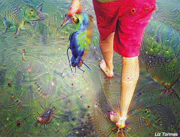 sciam's tweet photo. The search to grasp how A.I. neural networks process photos yields insights and weirdness https://t.co/wDRvaPFeXD https://t.co/8B7PIsmKhf