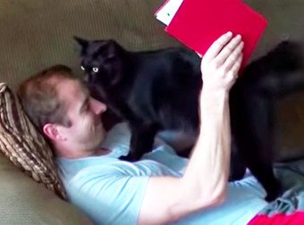 If You Don't Think Your Cat Loves You, You Need To Learn How They're Saying It!
twnewsjp.com/page.php?id=12…