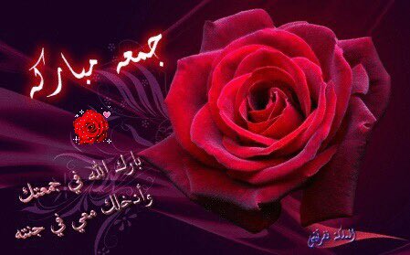 صباح الخير✍🏻 للحياة التي لم تعي حتى الان أنكم السبب الوحيد بأن يكون صباحها خيراً

🇮🇶 متابعيني 🇮🇶

🍂تخاريف قلم 🍂