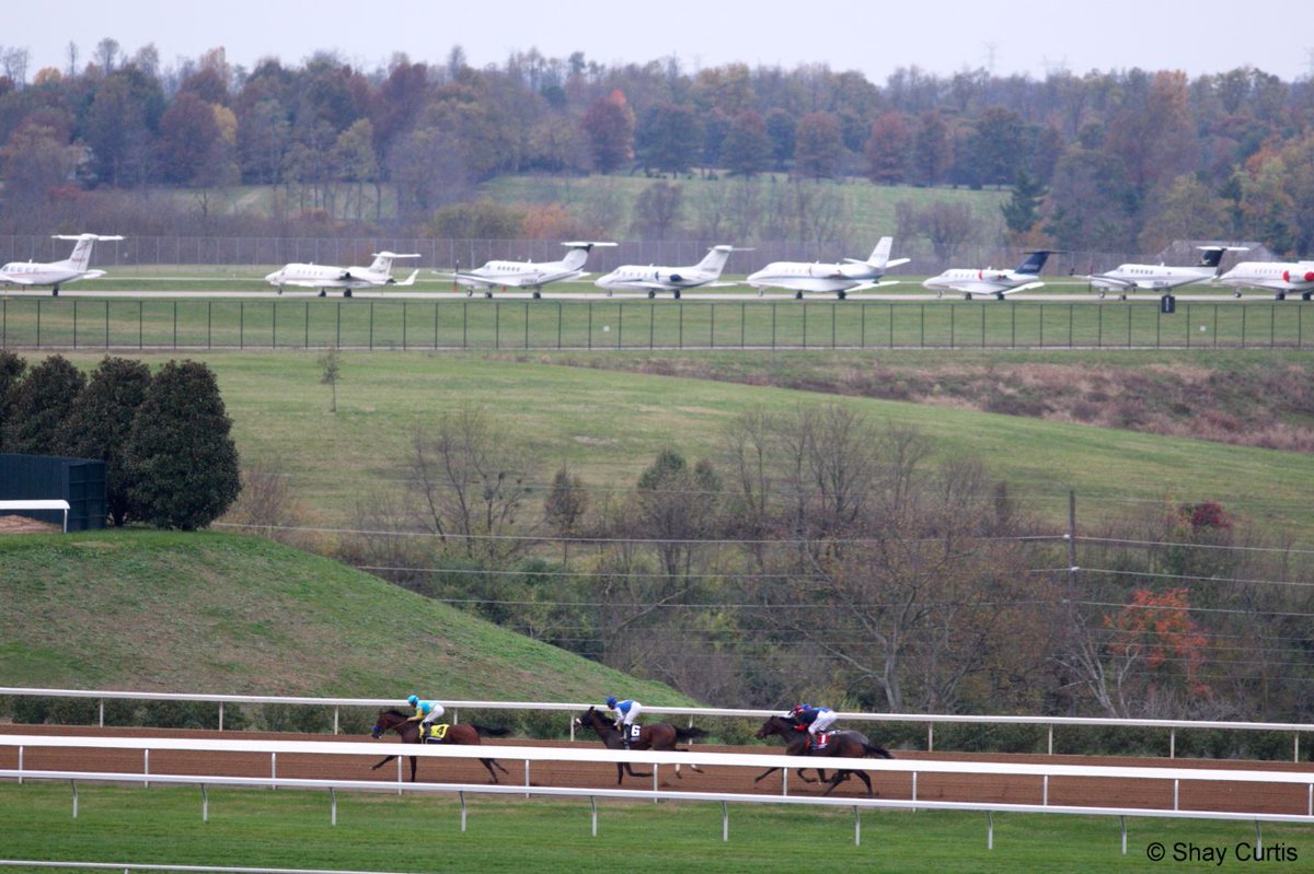 theTDN's tweet photo. #AmericanPharoah turning for home @keeneland #BC15 with the private jets in the background! Pic credit: @Racing_Pic https://t.co/Xzlc5LD0cx