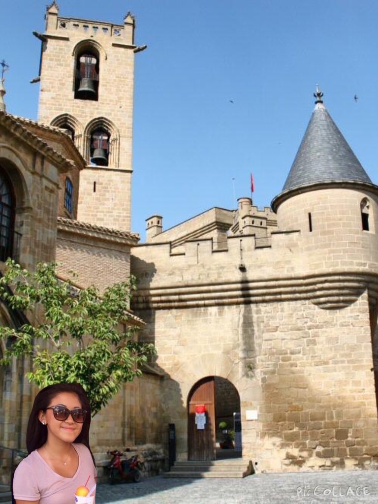 _elsachung's tweet photo. Voy al Palacio de Olite en Tudela, Navarra y fue construido en el siglo 13! Es maravillosa! #vendimia #fantasía https://t.co/5tLxC4vS1C