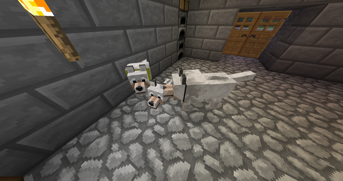 ChillSMP's tweet photo. New puppy! At @Tully720 's House! https://t.co/yJTbkbDax1