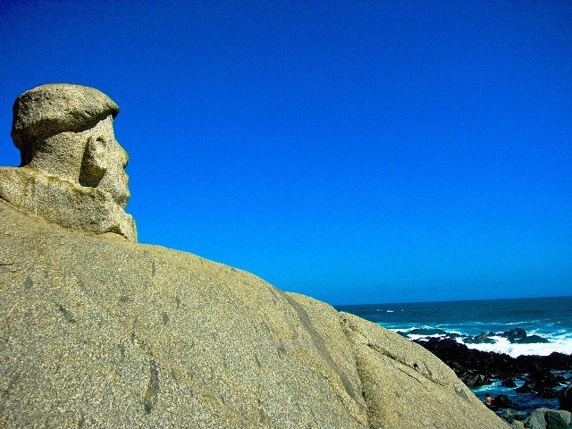 Ruta Poetas tweet media