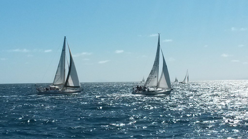 Heatwave with <a href="/WitherHillsWine/">Wither Hills Winery</a> and Excel with <a href="/ForrestwinesNZ/">Forrest Wines</a> crossing the Cook Strait in #nzwinerace. Good luck!