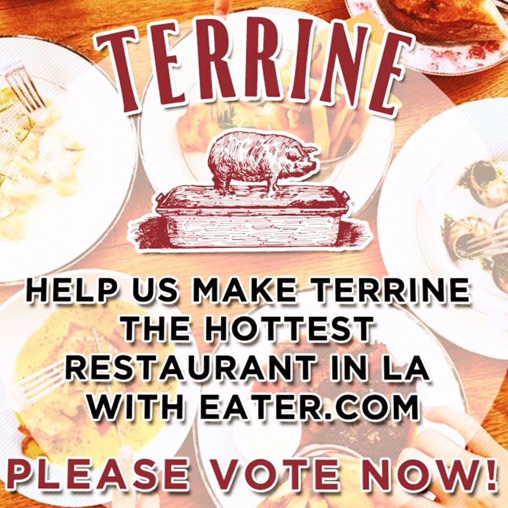 Our restaurant @TerrineLA is nominated on <a href="/eaterla/">Eater LA</a> for Hottest Restaurant - please vote! la.eater.com/2015/11/5/9675…
