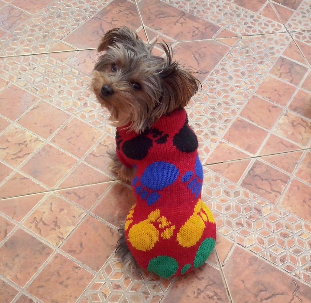 CarmenEstrellaG's tweet photo. Es lo mejor de mi mundo. ♥♥♥♥ #EvaBeba #Beba https://t.co/1rS4z4Umu8