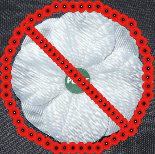 WBrettWilson's tweet image. To #WhitePoppy supporters: the #RedPoppy does not glorify war nor does the #YellowDaffodil glorify cancer.