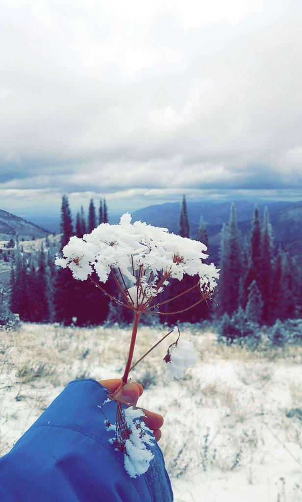 ShupeAustin's tweet photo. Im a little kid when it comes to snow. https://t.co/VAiBTSm57B