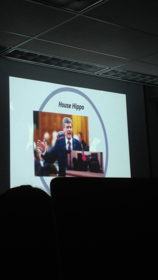 tba_squad's tweet photo. @PERRY_CHAHAL #househippo #dmit1001 https://t.co/mE2js7DIfh
