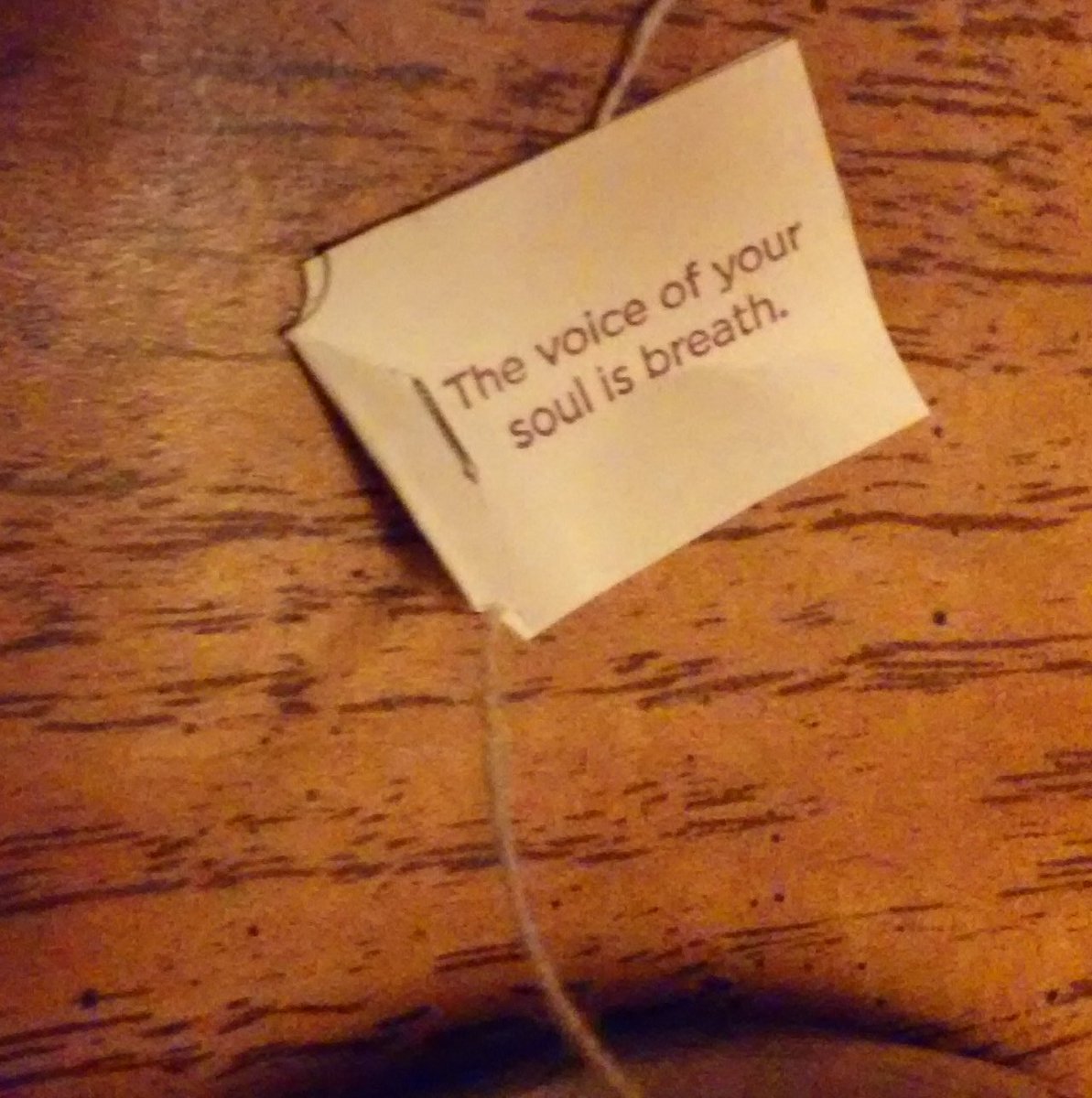 gal_andromeda's tweet image. #singingpractice #hottea @YogiProducts Throat Comfort