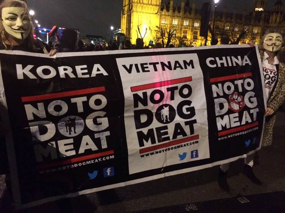 notodogmeat's tweet photo. House of Commons: Do we want an end to dog and cat torture? The Ayes have it. https://t.co/aJdXsJDQMO