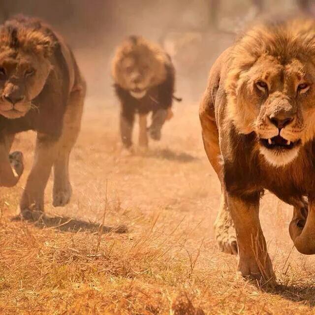 Friday means only one thing.......TIME TO HUNT! <a href="/TheHHSChaosCrew/">HHS Chaos Crew</a> #PaintItBlack