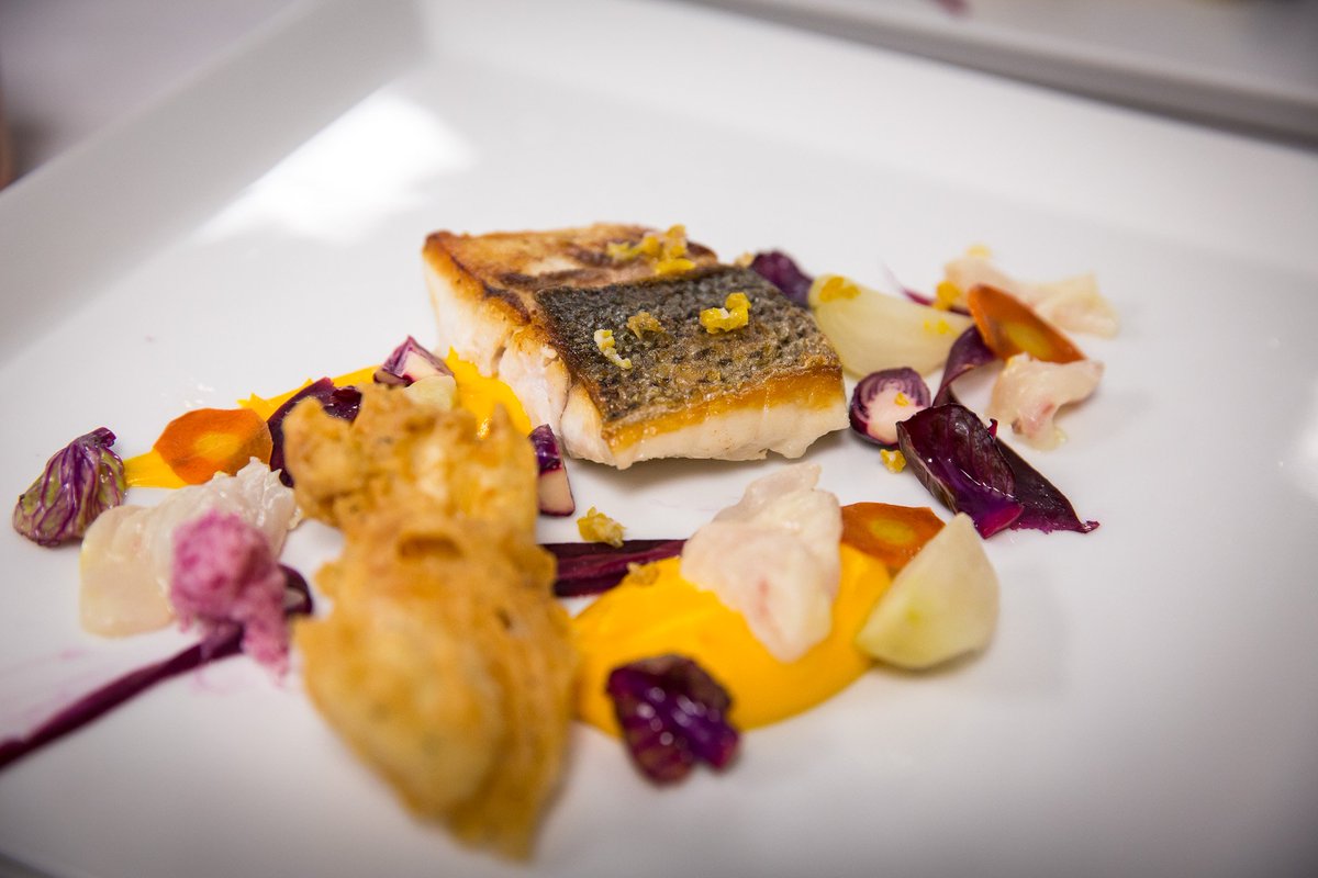 LenkaFaksova's tweet photo. My favorite dish@nation's cup https://t.co/dqodX4LW33