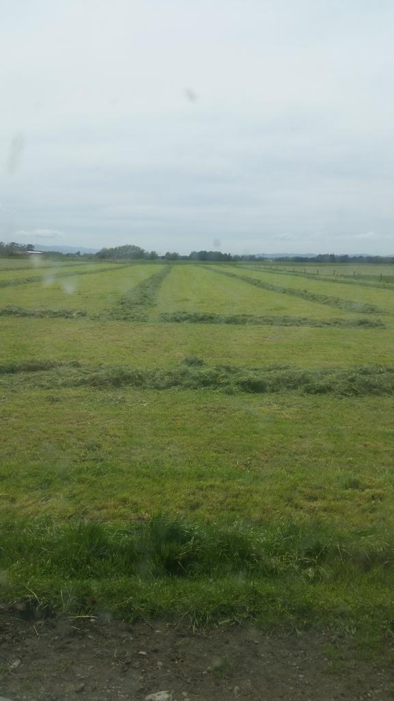 sigalasvacas's tweet photo. #silage15 https://t.co/2DhJUcR8jm