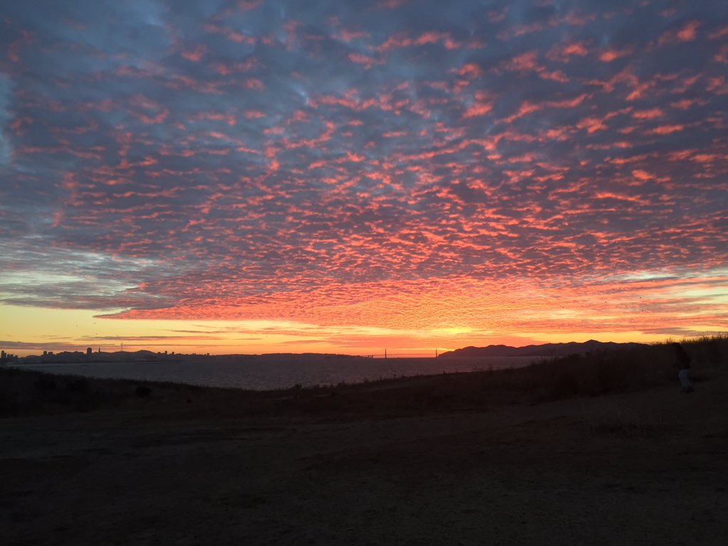 Must be why it's called the Golden Gate. Stunning #sunset in #SF this evening.