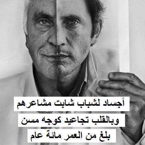 مصطفى (@shaltout_122) on Twitter photo 