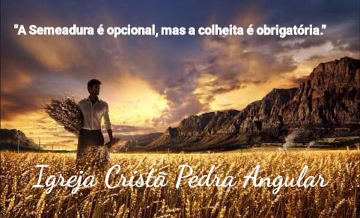 IcPedra's tweet photo. https://t.co/D4SMCK5YhZ