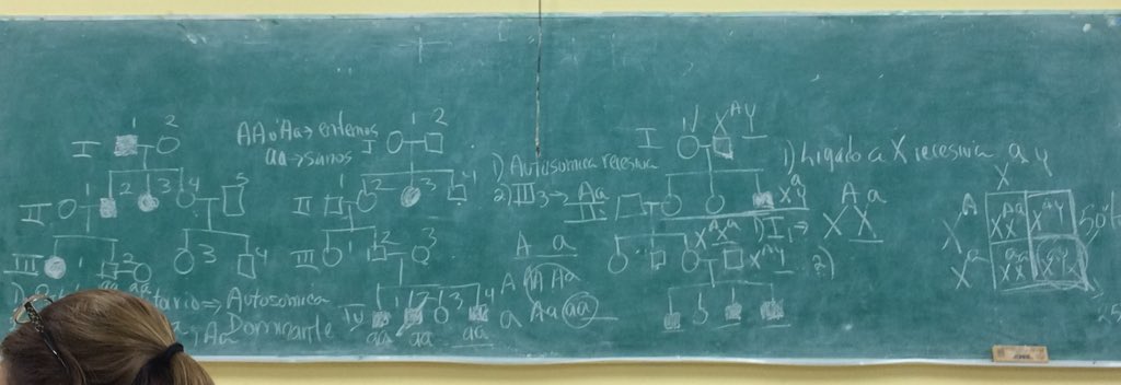 Paracetamoleros's tweet photo. —Mijito.. ¿Cómo va el semestre de Biología?
— https://t.co/na57IrvKlj