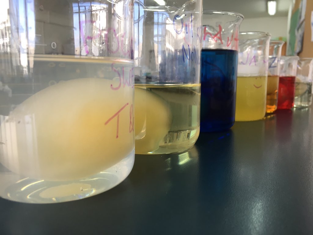 ISU_Science's tweet photo. An Eggcelent eggsperiment for investigating osmosis #grade9 #mypbio #science #isumng https://t.co/bo8qeWuyKK