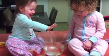 FMoakson's tweet image. Mom Makes Quick Grab And Saves Pet Fish From Falling Off Counter
twnewsjp.com/page.php?id=14…