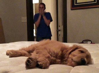 fynenajavuwon's tweet photo. This First-Time Mom Is So Excited To Meet Her New Baby, She Just Can't Handle It
https://t.co/QFkChg0hsv https://t.co/3XNGrhL7cb
