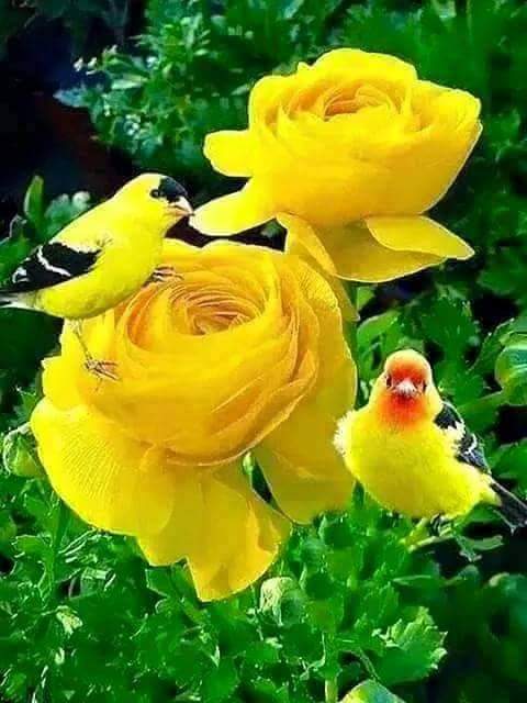 violitaridwan's tweet photo. #JumatBerkah https://t.co/20u5uG6n7w