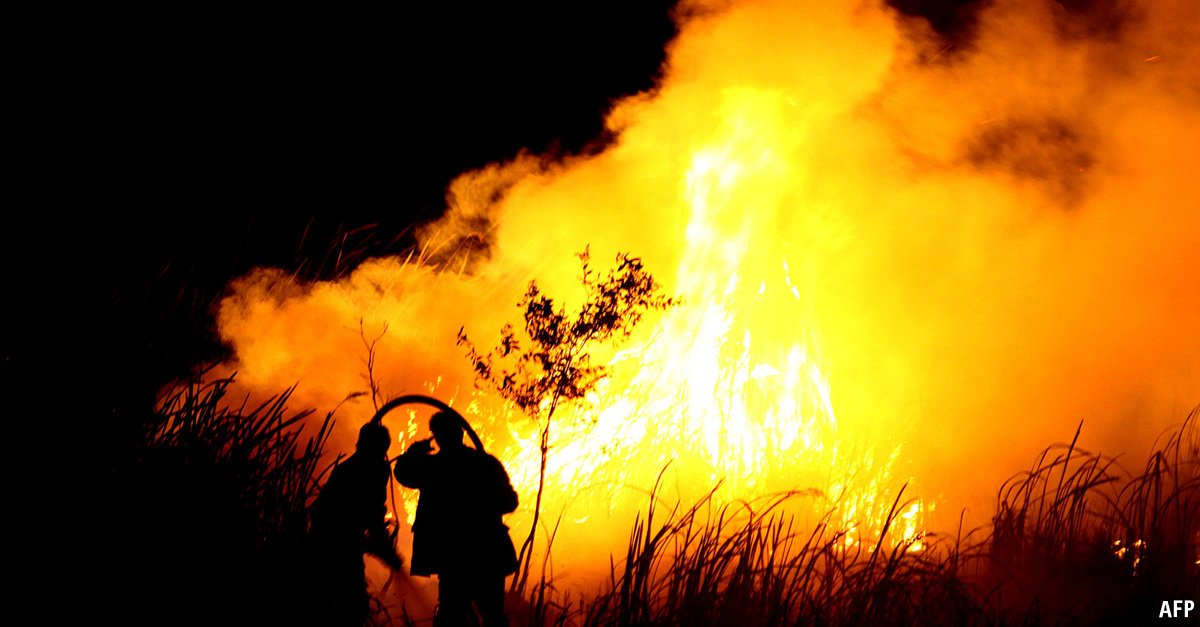 Indonesia's forest fires have emitted more carbon than America's whole economy recently econ.st/1Qgl5B8