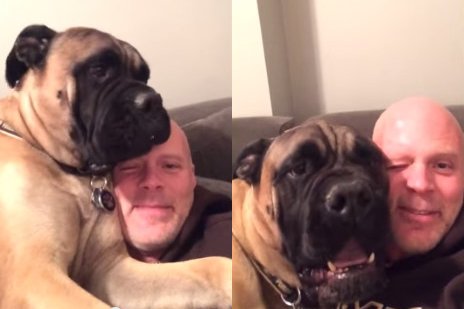 MMacturlough's tweet photo. He Starts Singing. The Dog’s Reaction? HILARIOUS!!
https://t.co/Q05BiAkIFS https://t.co/EpUXLYUjCu