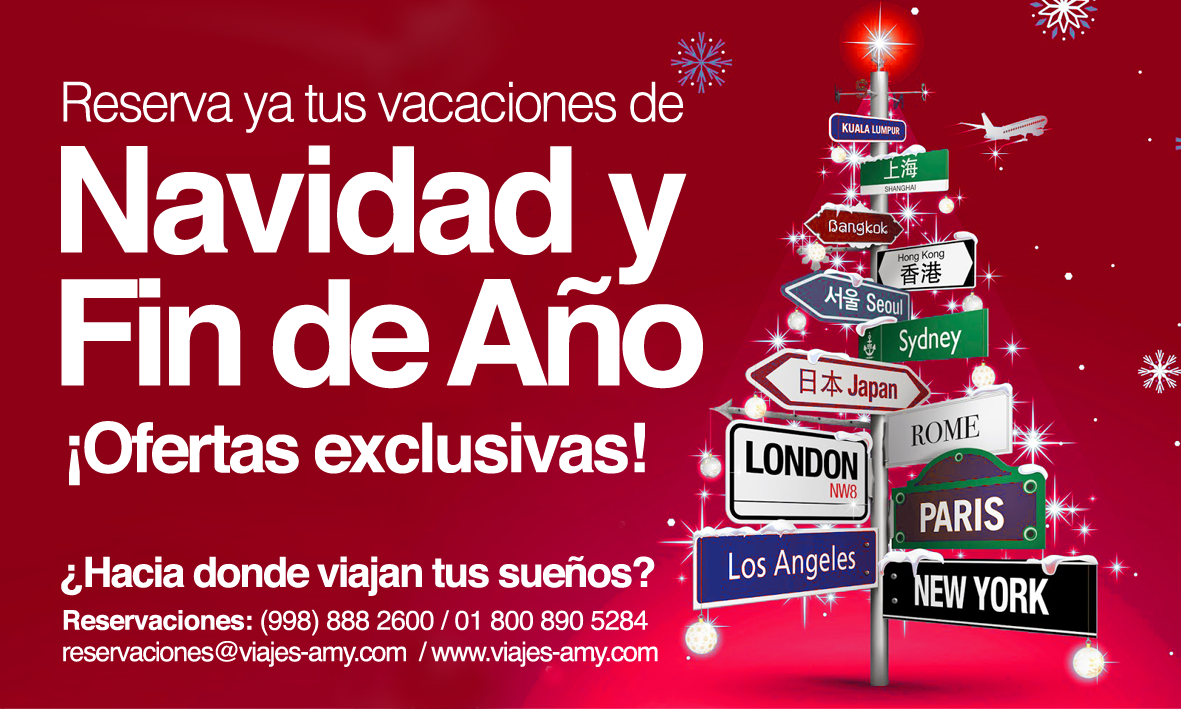 Viajes Amy tweet media