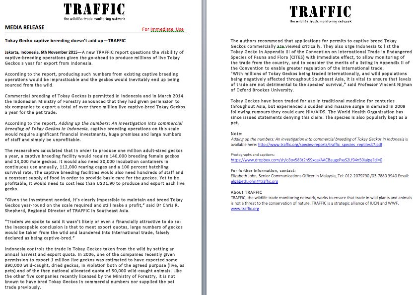 Katrina (@katyakunks) on Twitter photo 