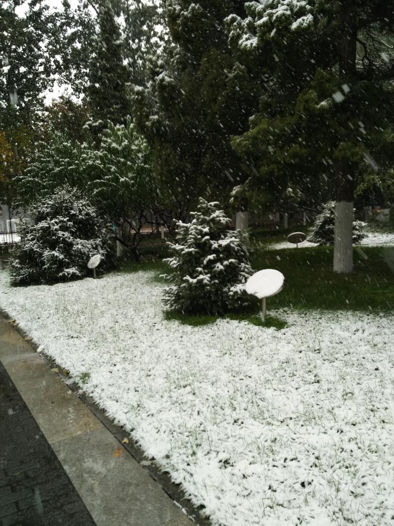 Honey_Zambia's tweet photo. Woke up to this! #SnowInBeijing #WinterIsHere https://t.co/HM0NOUMRXO